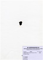 藏品(匍扇藻)的圖片